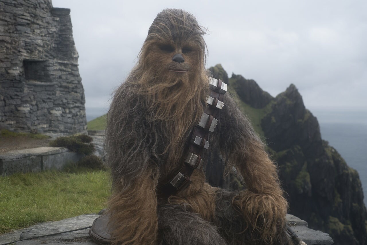 Chewbacca in front of stone ruins.