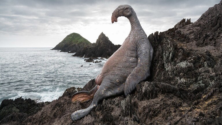 A thala-siren, which produces green milk, rests against a rock near the shore of Ahch-To in Star Wars: The Last Jedi.