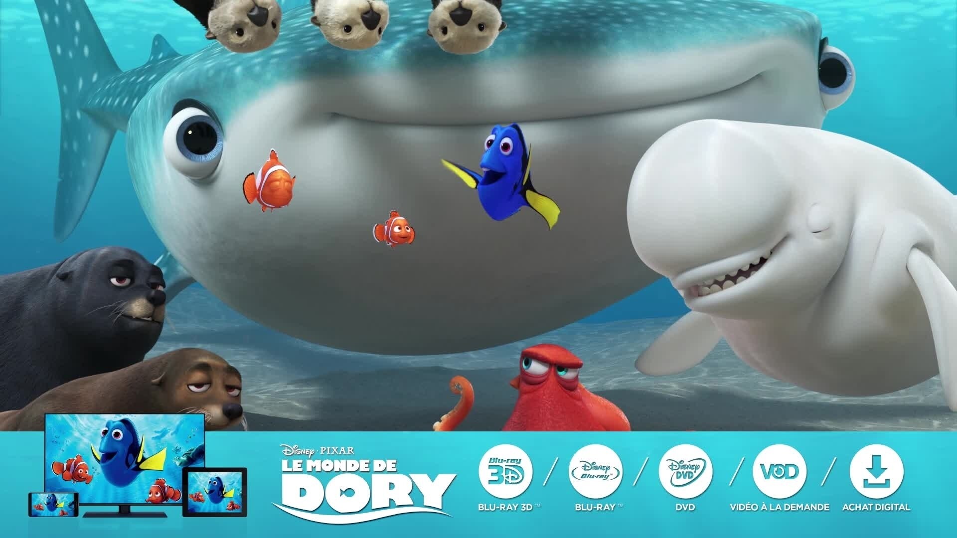 Le Monde De Dory Elle Est De Retour Vidéos Disneyfr 