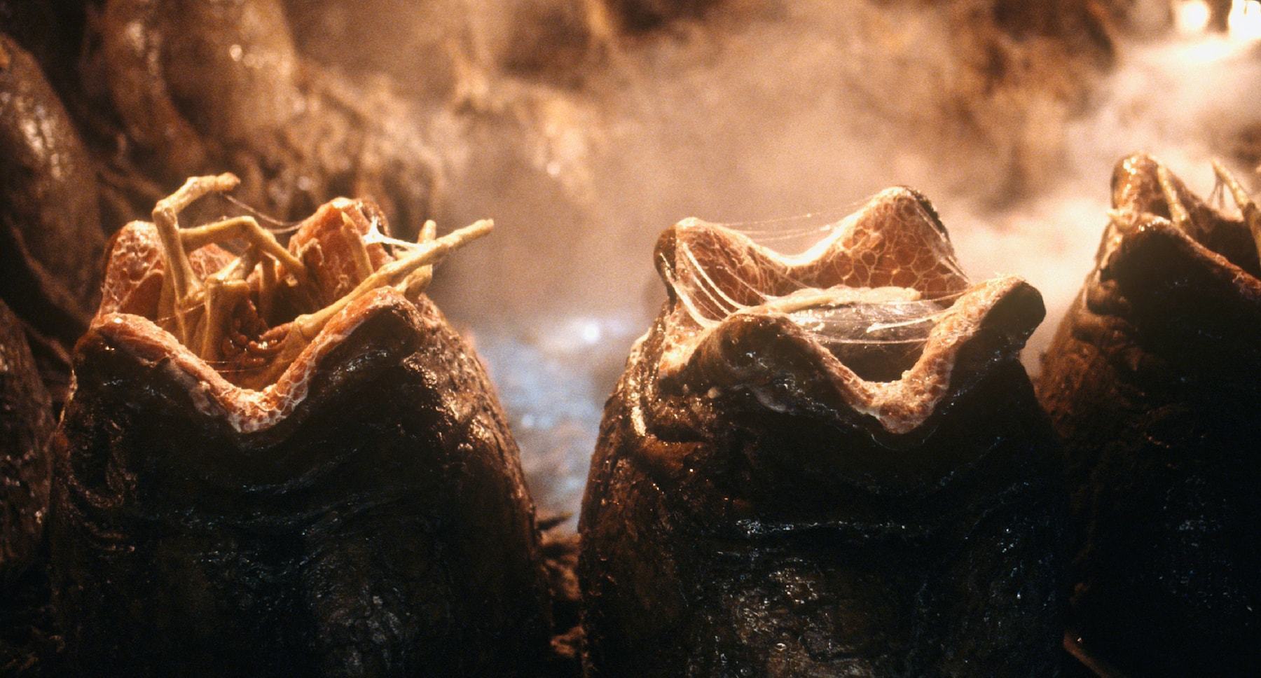 Alien eggs hatching with face hugger aliens emerging in the film "Alien: Resurrection"