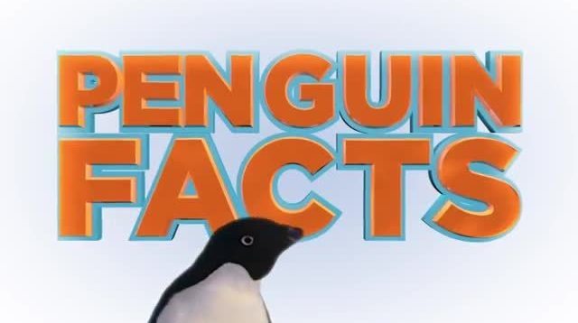 Disneynature Penguins | Penguin Facts
