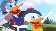 Take my Duck, Please