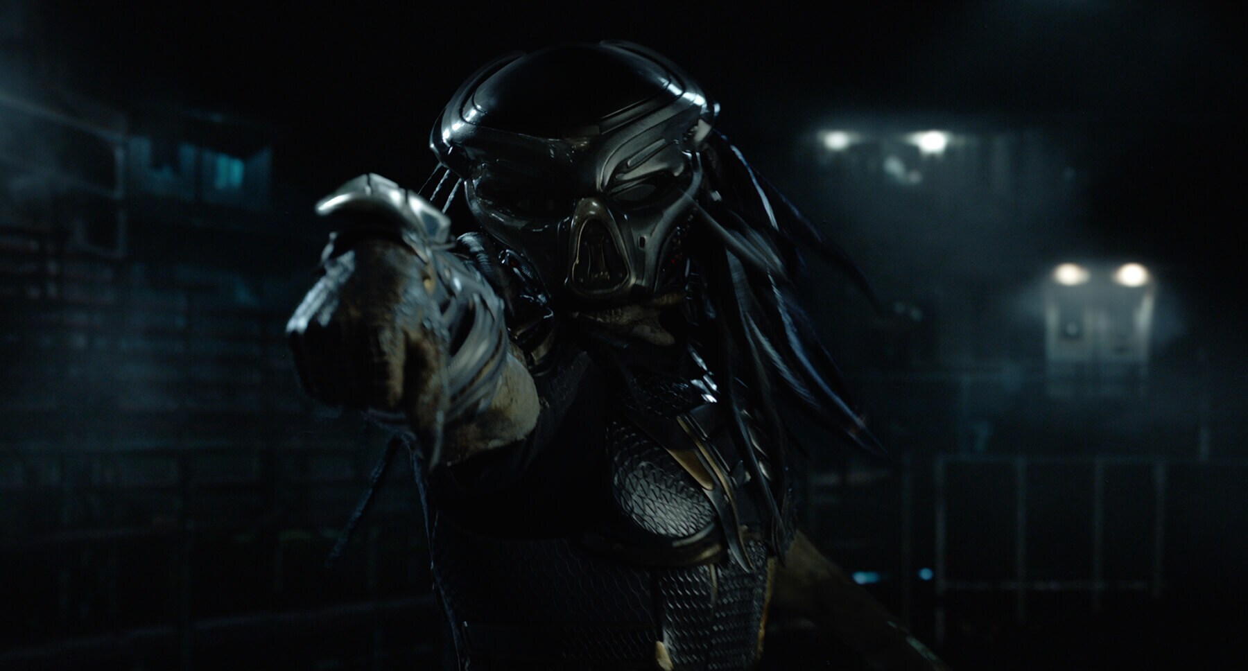 The Predator