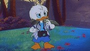 Ducklaration of Independence