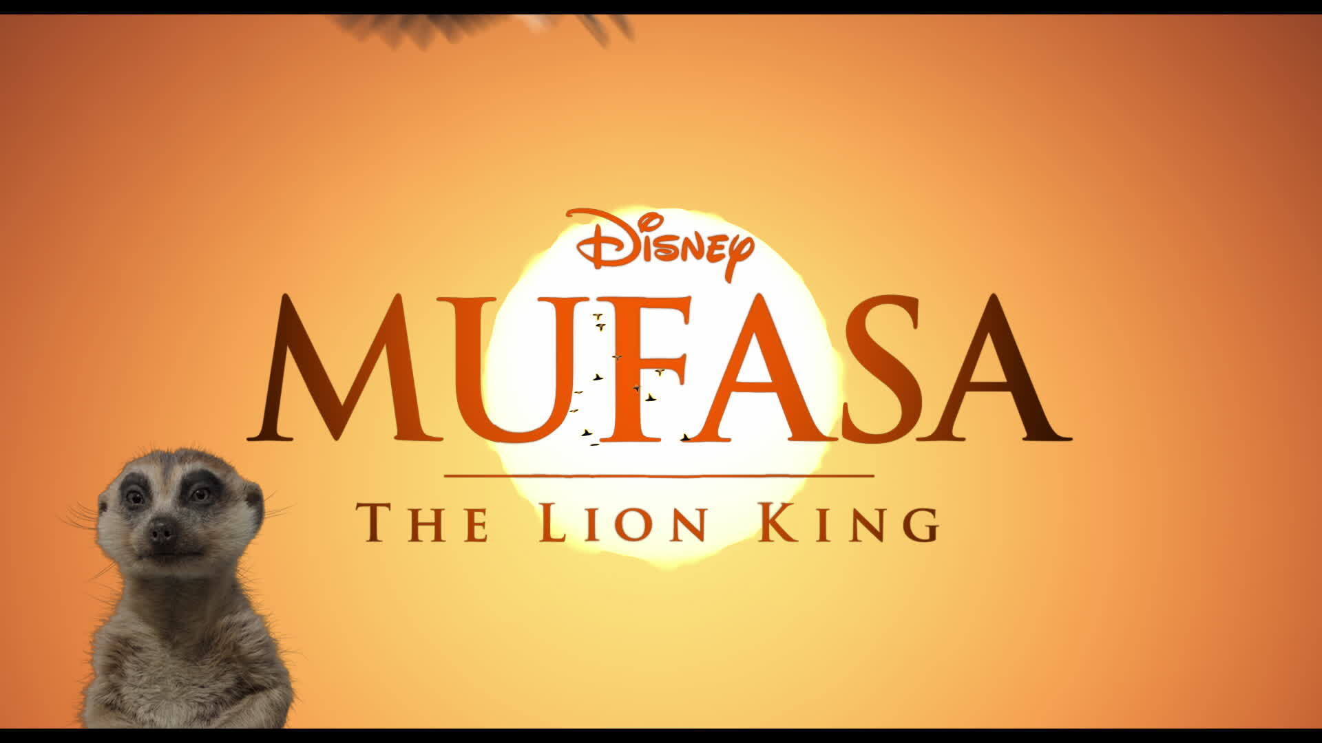 Mufasa: The Lion King | In Theaters Now