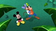 Goofy's Coconutty Monkey