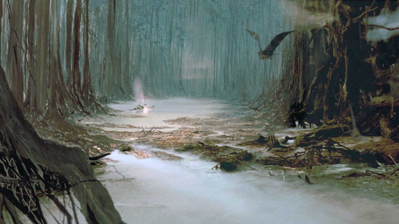 Trees line the banks of the swamp on Dagobah.