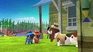 The Legend of Ol’ Snapper/Adventures in Puppy-Sitting
