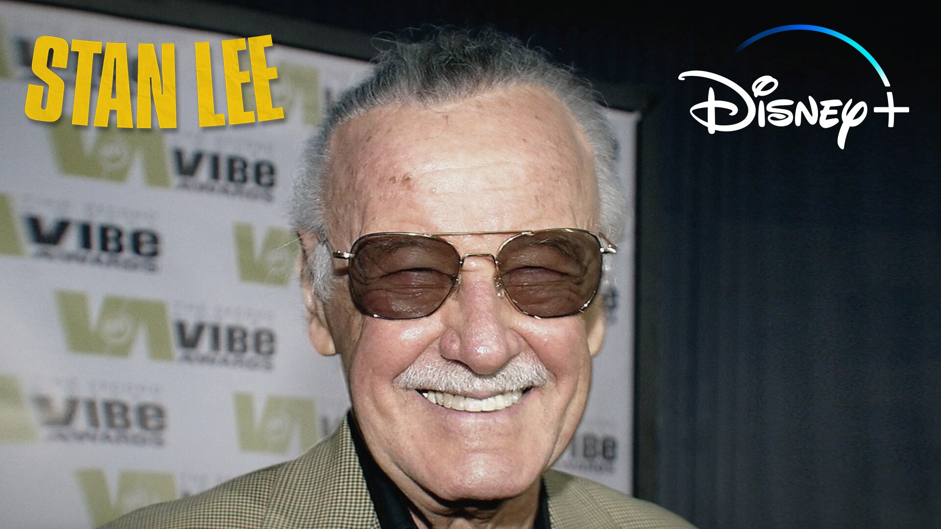 Stan Lee | Now Streaming | Disney+