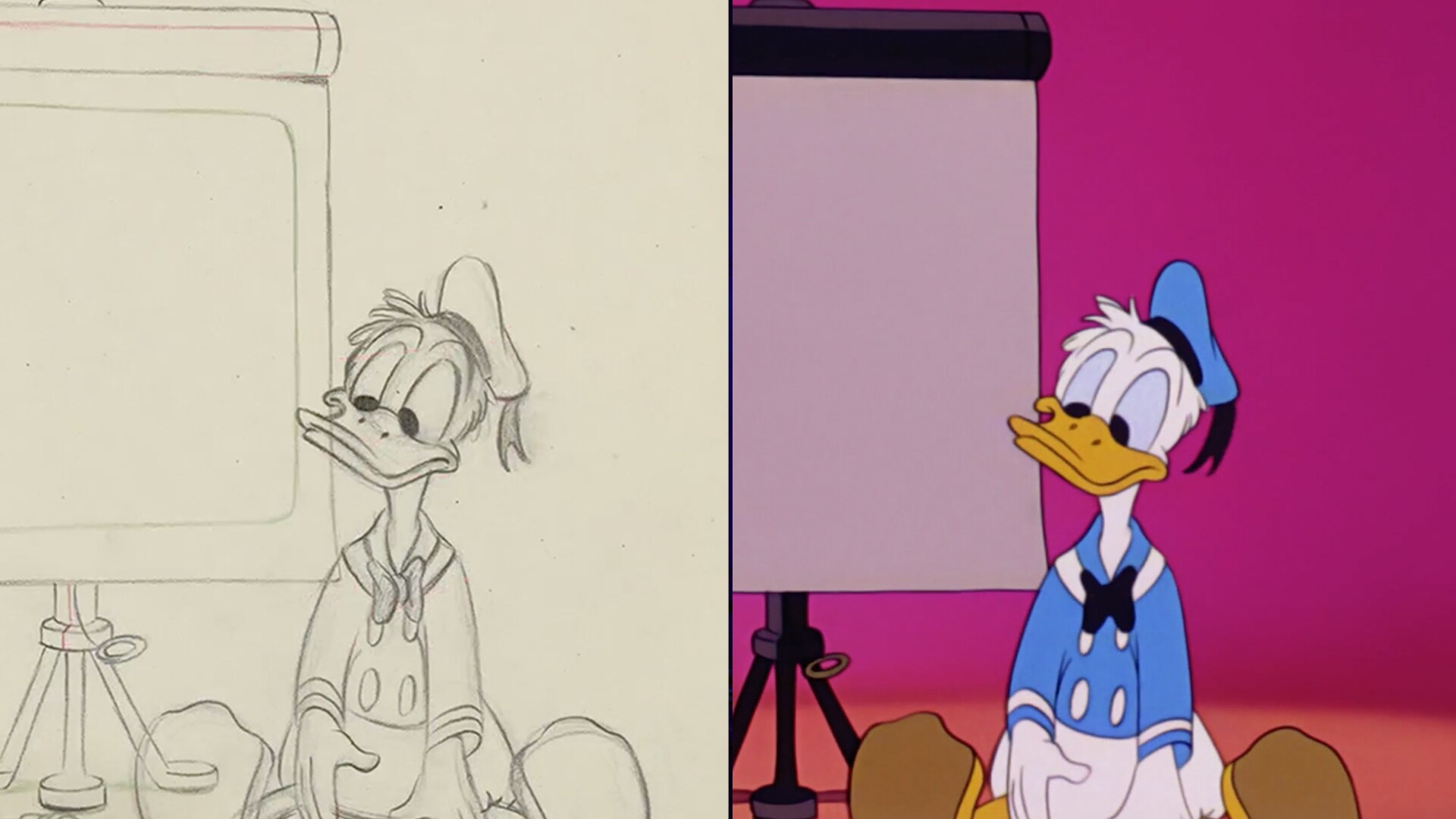 Donald Duck | Disney Mickey Mouse
