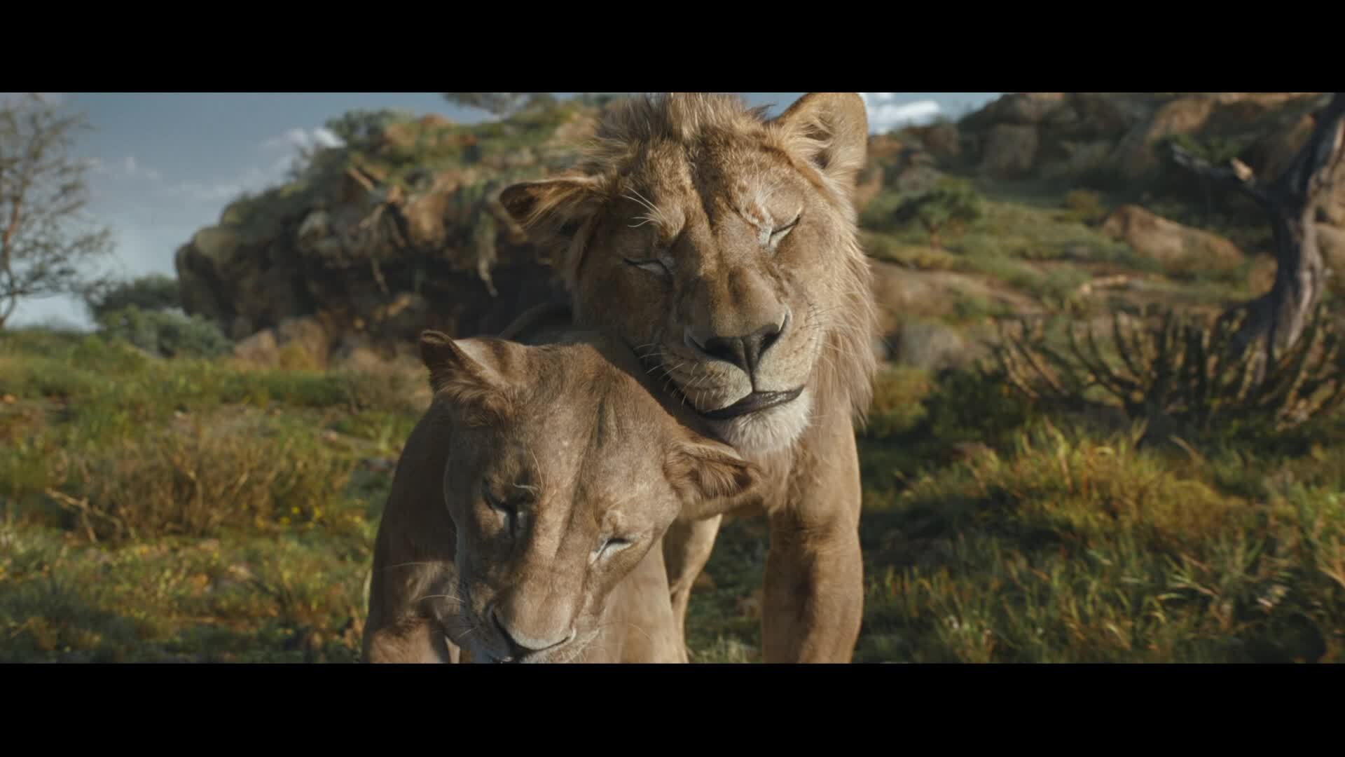 Mufasa: The Lion King | Get Tickets Now | In Theaters December 20