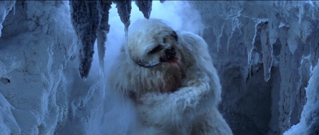 Wampa loses arm