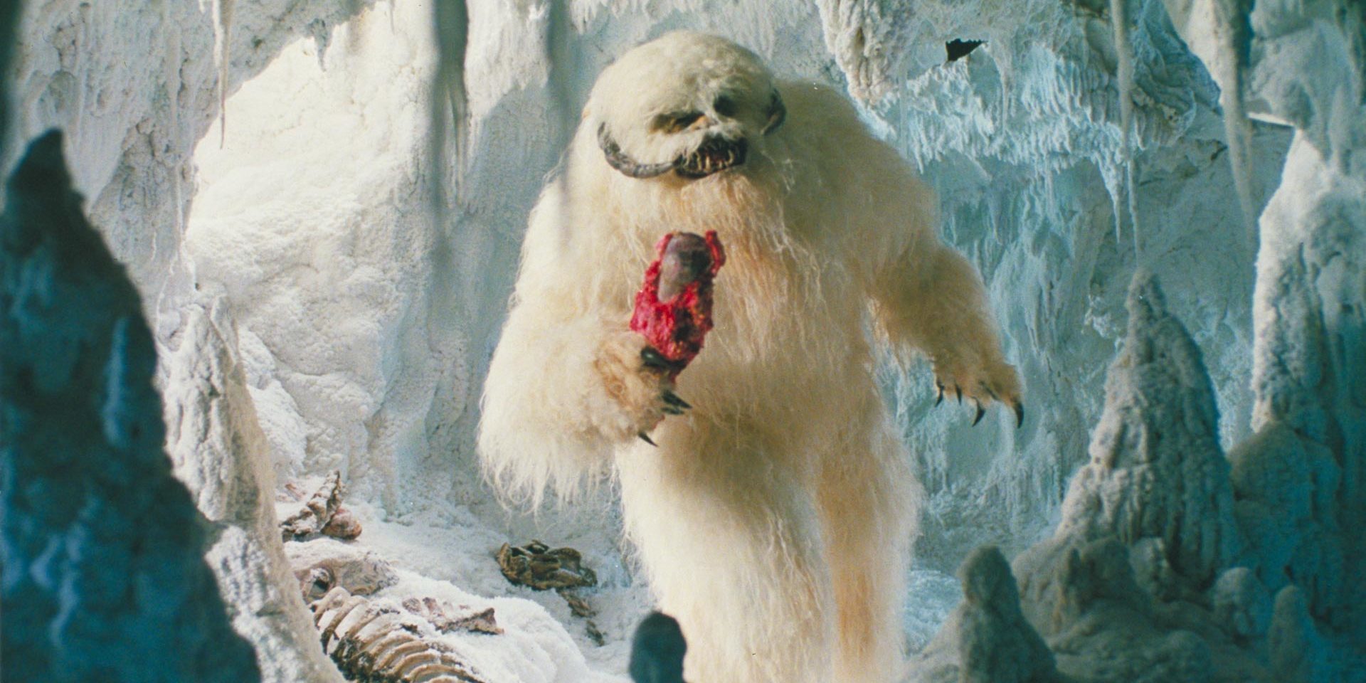 wampa cap