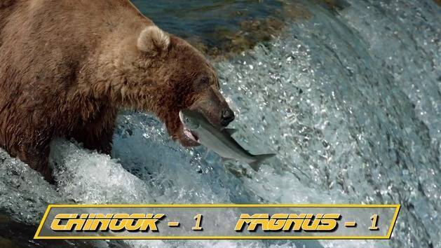 Disneynature Bears & ESPN Present: Salmon Run Invitational - Oh My Disney