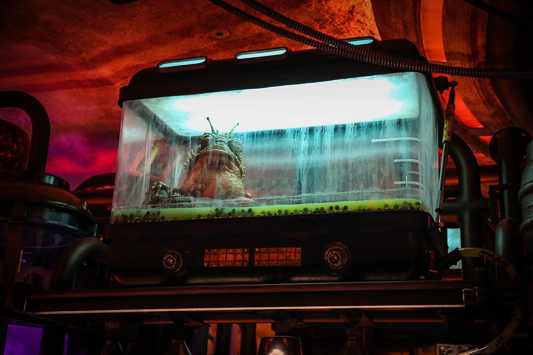 A creature inside Oga's Cantina at Star Wars: Galaxy's Edge.