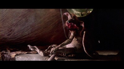 Salacious Crumb