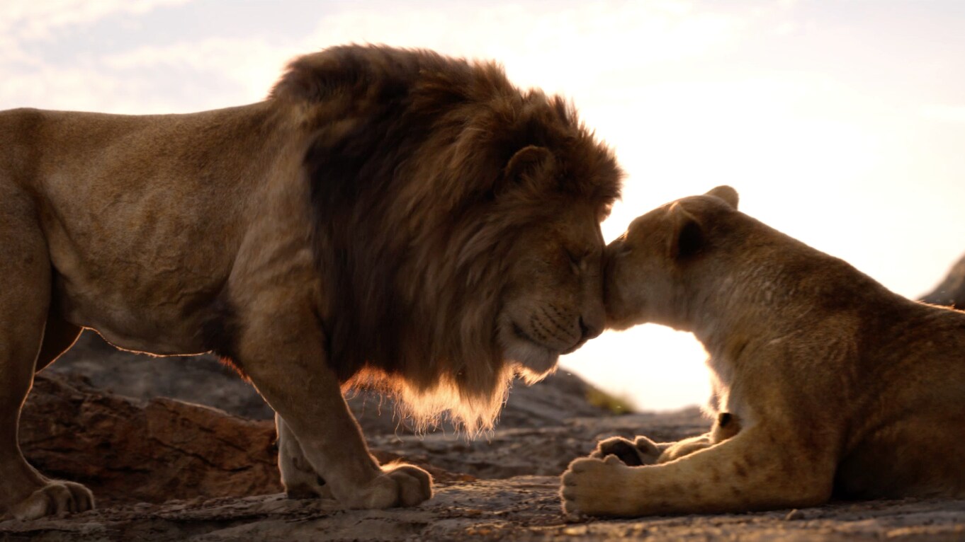 The Lion King 19 Disney Movies