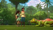 The Gecko's Tale