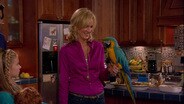The Parrot Trap
