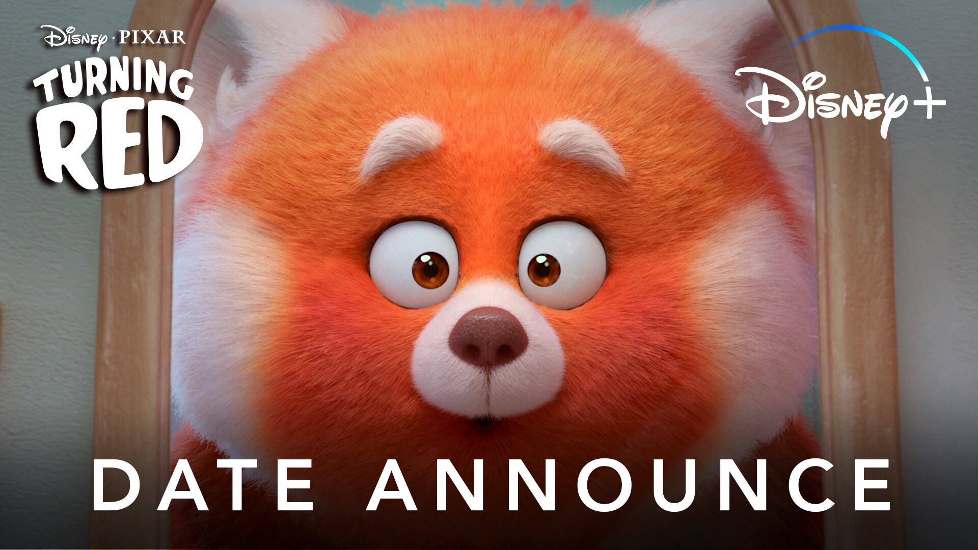 Turning Red | Disney+ Announcement
