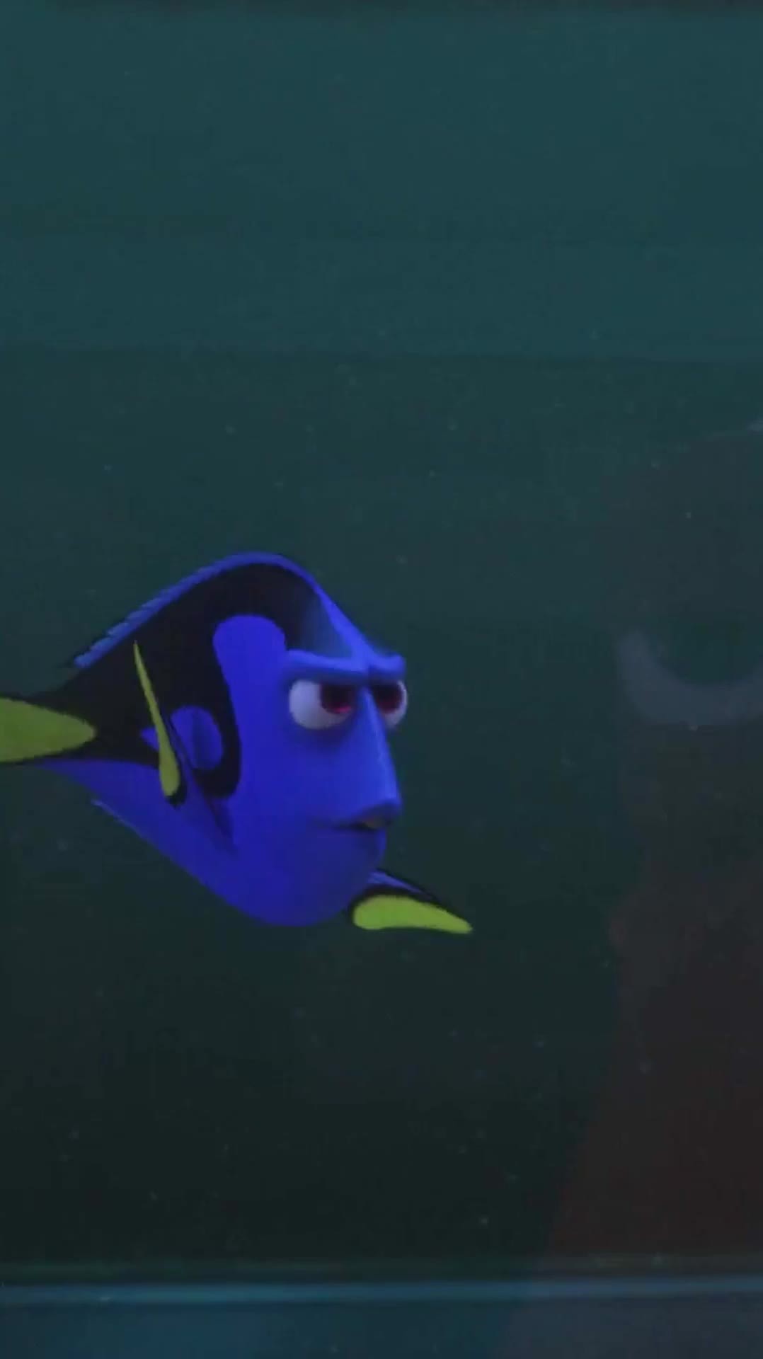 Finding Dory Disney Movies