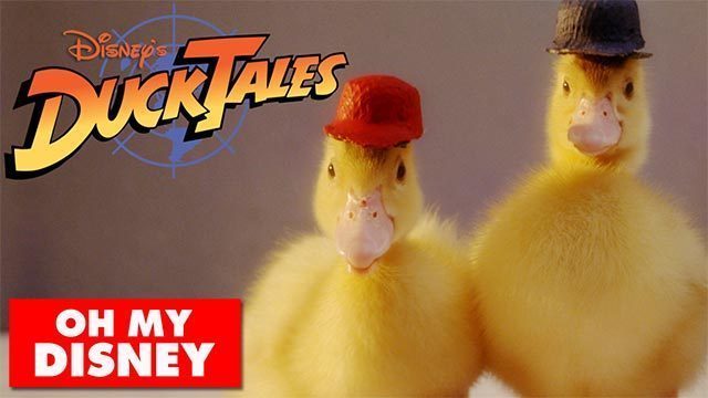 DuckTales With Real Ducks - Oh My Disney
