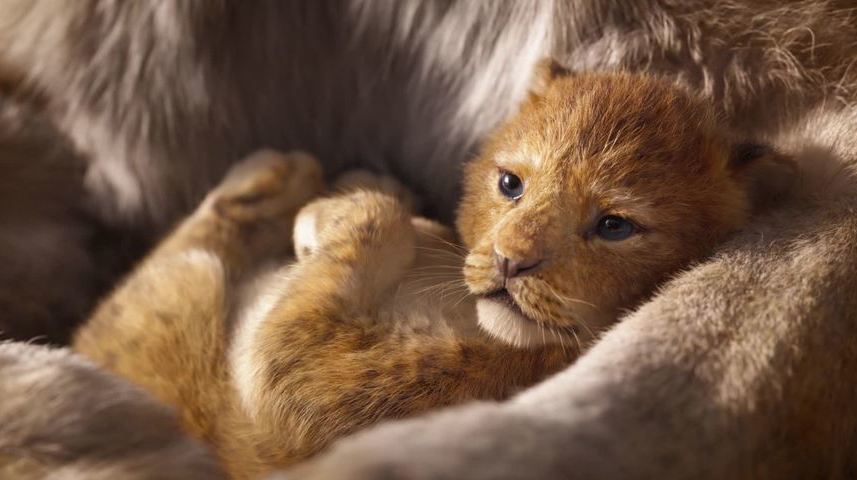 Ukázka 1 z filmu Lví král