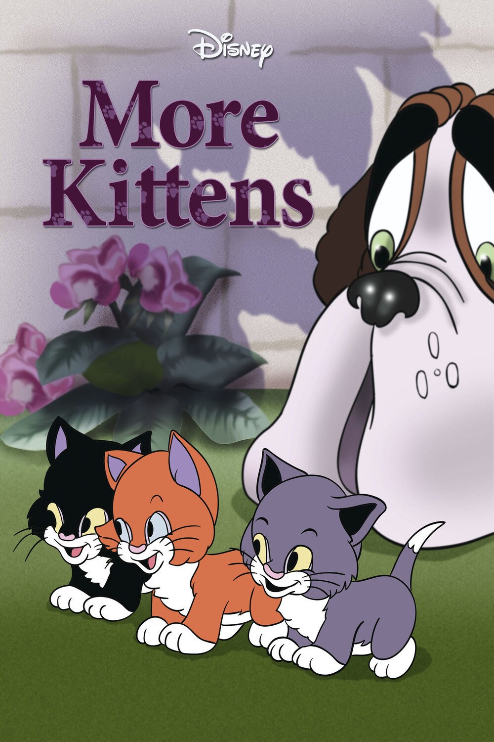 More kittens