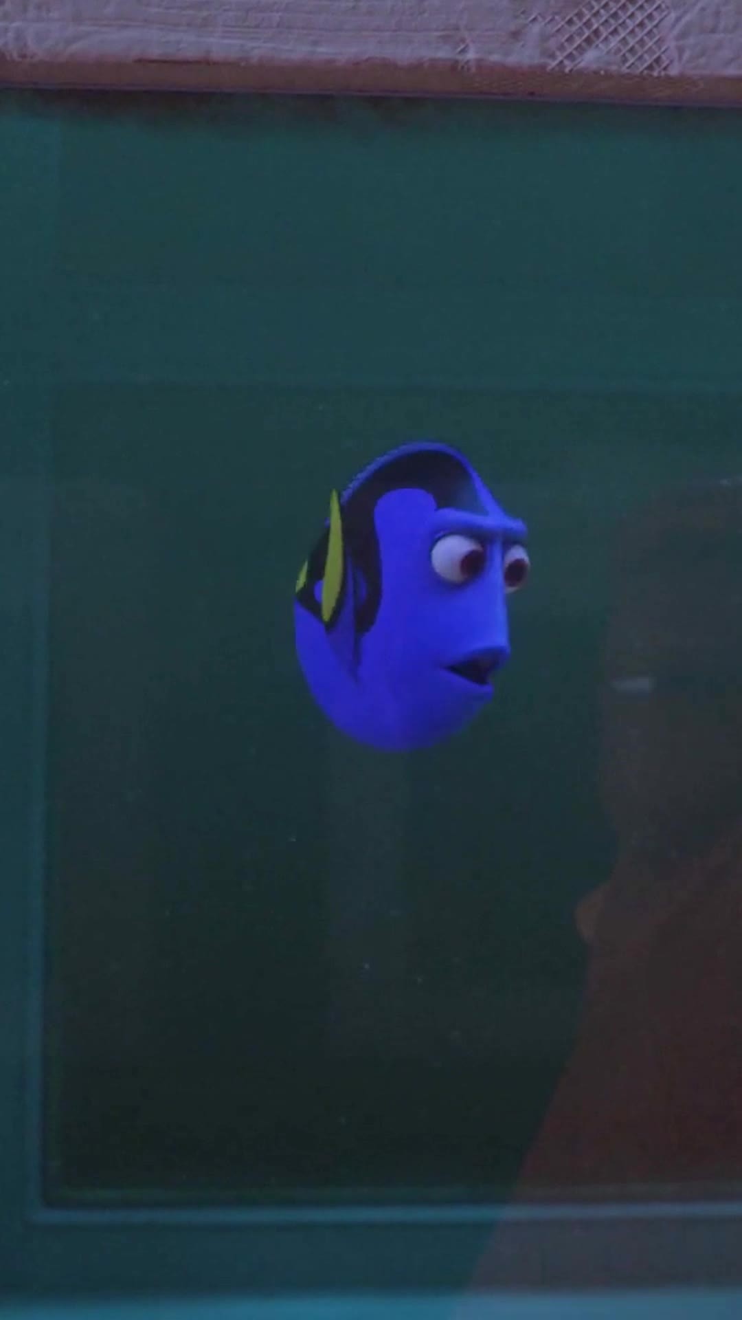 where can i watch finding dory online