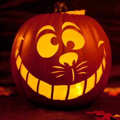cool cat pumpkin carving ideas