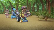 Safari: It's a Wash