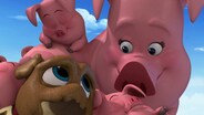 Pigs and Pugs/Bob Loves Mona