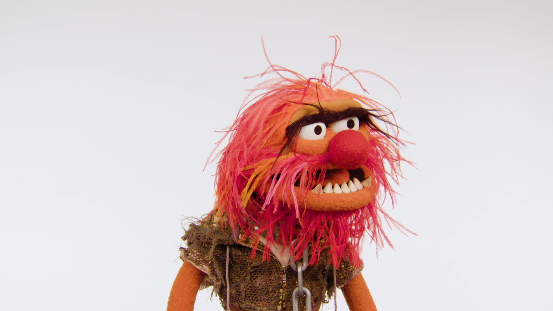 Animal Shares Some Deep Thinking | Muppet Thought of the Week by The Muppets