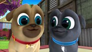 One Small Ruff for Pup-Kind / The Lost Bouncy Ball
