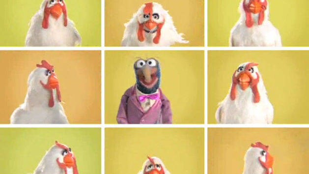crazy chicken song original crazy chicken song original