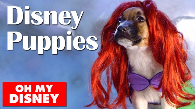 Adorable Disney Puppies in Slow Motion - Oh My Disney