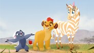 The Golden Zebra