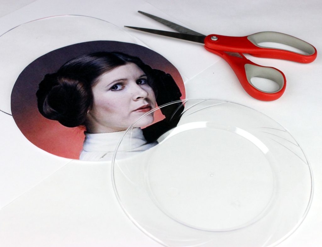 leia plate craft