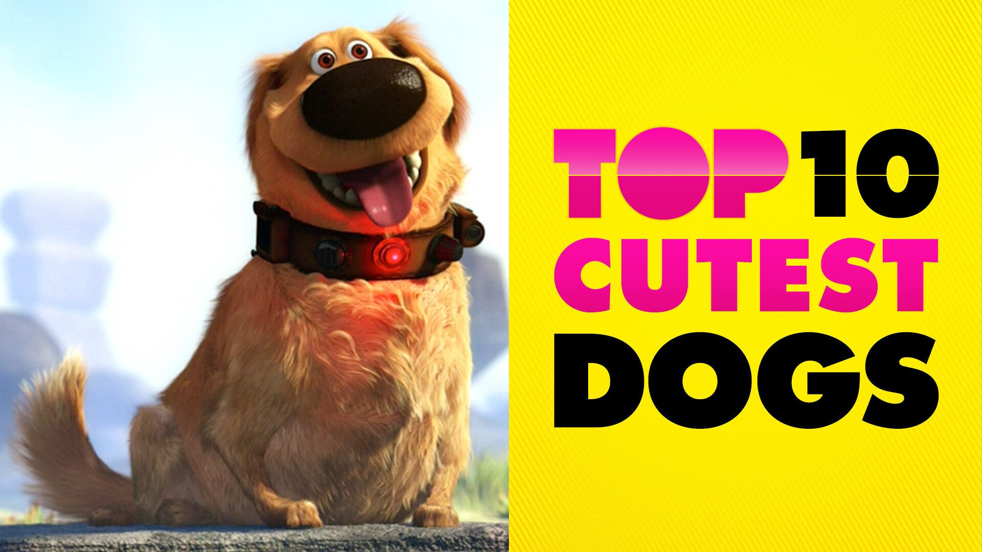 Cutest Dogs | Disney Top 10