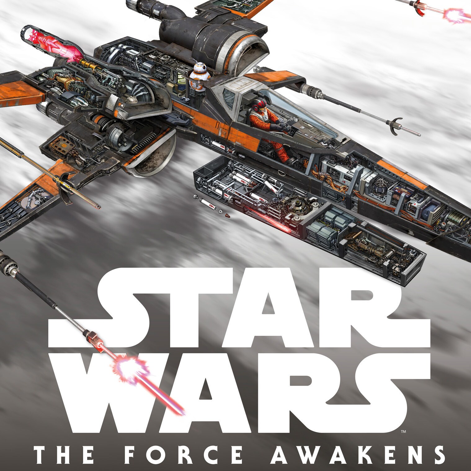 image_e11d0532.jpeg?region=0,