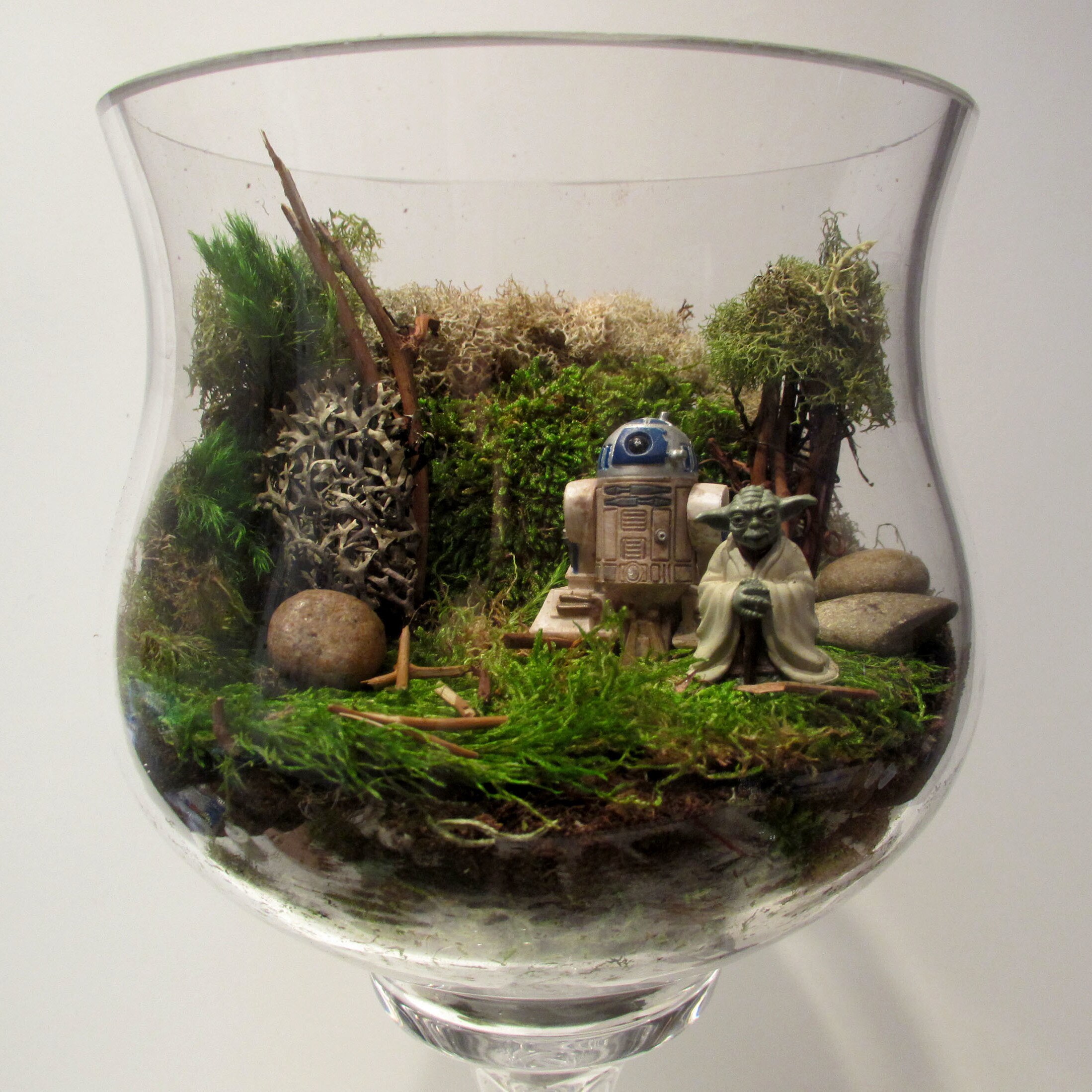 A terrarium at your table