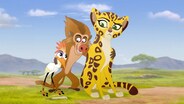 The Traveling Baboon Show