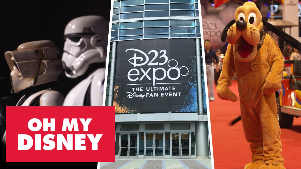 D23 Expo by the Numbers | Oh My Disney