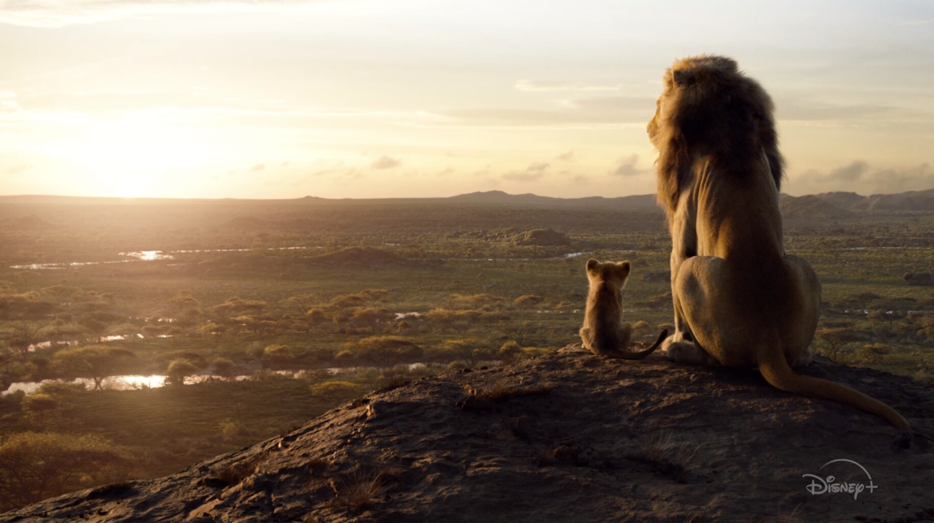 The Lion King | Now Streaming | Disney+