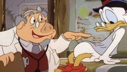 Yuppy Ducks