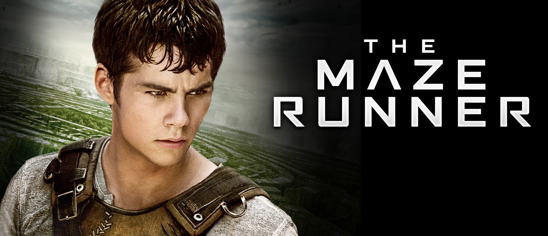 The Maze Runner  20th Century Studios