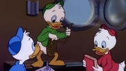 All Ducks on Deck