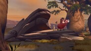 The Fall Of Mizimu Grove