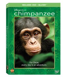  Chimpanzee DVD Combo Pack