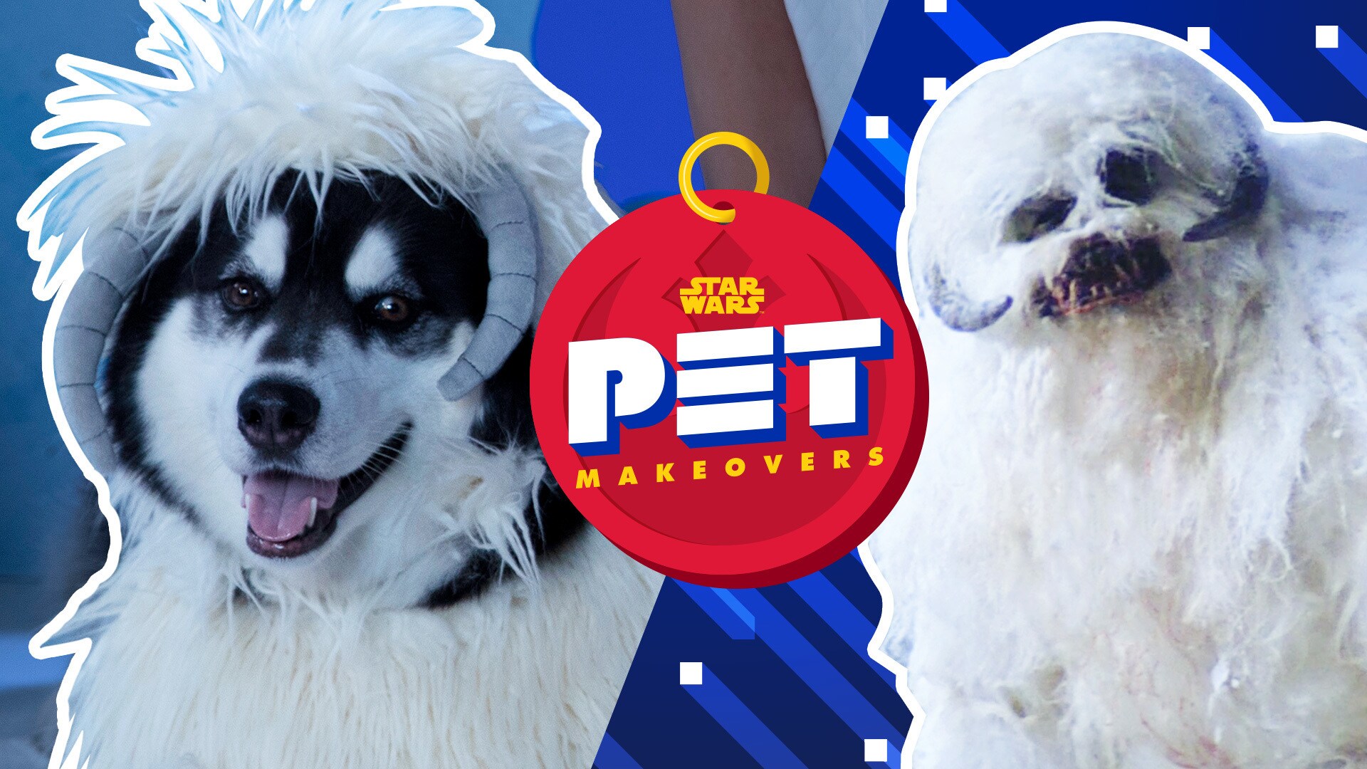 Princess Leia and a Wampa | Star Wars Pet Makeovers by Oh My Disney